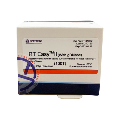 첫 번째 가닥 cdna 합성 / 실시간 PCR에 대해 마스터 프리믹스를 사용하기 위한 역전사 프라이머와 RT 에아사이트텀 II