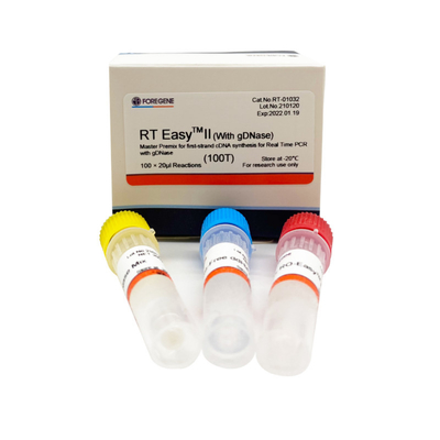 첫 번째 가닥 cdna 합성 / 실시간 PCR에 대해 마스터 프리믹스를 사용하기 위한 역전사 프라이머와 RT 에아사이트텀 II