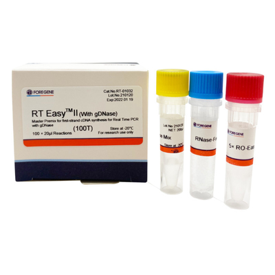 첫 번째 가닥 cdna 합성 / 실시간 PCR에 대해 마스터 프리믹스를 사용하기 위한 역전사 프라이머와 RT 에아사이트텀 II