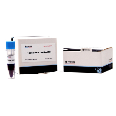 15 Kb DNA 마커와 아가로스 겔 전기 영동을 위한 사다리에 대한 50 Bp