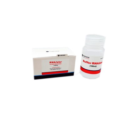 조직 샘플을 위한 50이지 밀리람베르트 100 밀리람베르트 100ml×4 RNA 격리 키트 르나라테르 보호 솔루션