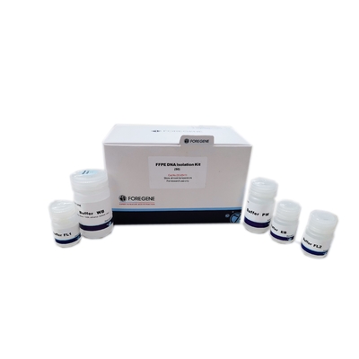 게놈 dna 정화를 위한 안전한 빠른 분자 생물학 시약 FFPE DNA 격리 키트