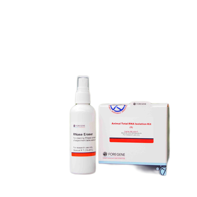 RNA 격리 키트와 RNA 가수분해효소 삭제자는 작업대 지정 전체 품질 경영 시스템을 청소하기 위해 장갑을 착용합니다