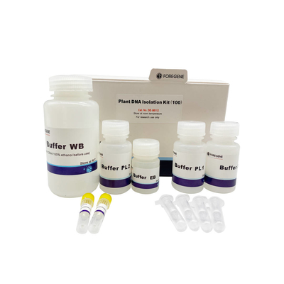 어떤 RNA 가수분해효소 오염 없이 분자 생물학 실험실 시약 공장 DNA 격리 키트