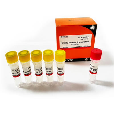 dna 폴리머라제와 cdna 합성 시발체 연장 PCR 장비를 위한 포레아사이 M-MLV 역전사 효소