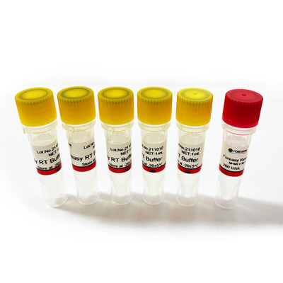 dna 폴리머라제와 cdna 합성 시발체 연장 PCR 장비를 위한 포레아사이 M-MLV 역전사 효소