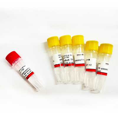 dna 폴리머라제와 cdna 합성 시발체 연장 PCR 장비를 위한 포레아사이 M-MLV 역전사 효소