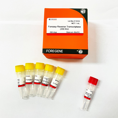 dna 폴리머라제와 cdna 합성 시발체 연장 PCR 장비를 위한 포레아사이 M-MLV 역전사 효소