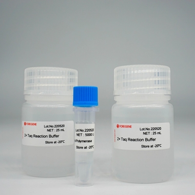 PCR / QPCR를 위한 포레아사이 타크 dna 폴리머라제 핫스타 taq 중합 효소 장비