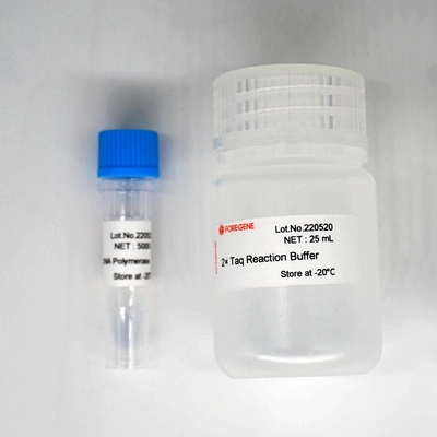 PCR / QPCR를 위한 포레아사이 타크 dna 폴리머라제 핫스타 taq 중합 효소 장비