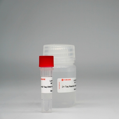 PCR / QPCR를 위한 포레아사이 HS 타크 dna 폴리머라제 최고 핫스타 taq 효소 혼합