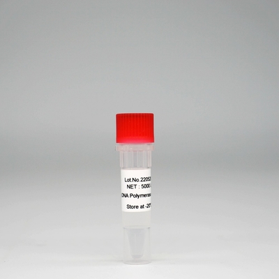 PCR / QPCR를 위한 포레아사이 HS 타크 dna 폴리머라제 최고 핫스타 taq 효소 혼합