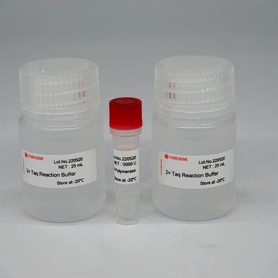 PCR / QPCR를 위한 포레아사이 HS 타크 dna 폴리머라제 최고 핫스타 taq 효소 혼합