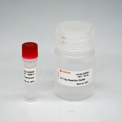 PCR / QPCR를 위한 포레아사이 HS 타크 dna 폴리머라제 최고 핫스타 taq 효소 혼합