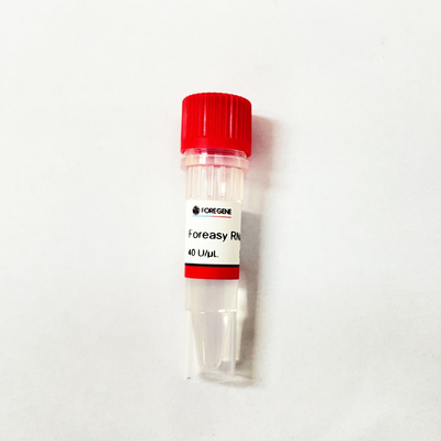 RNA 보호를 위한 중국 IVD 공장 다량 생산 포레아사이 rnase 저해제