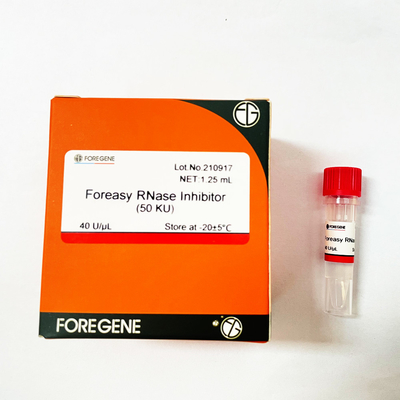 RNA 보호를 위한 중국 IVD 공장 다량 생산 포레아사이 rnase 저해제