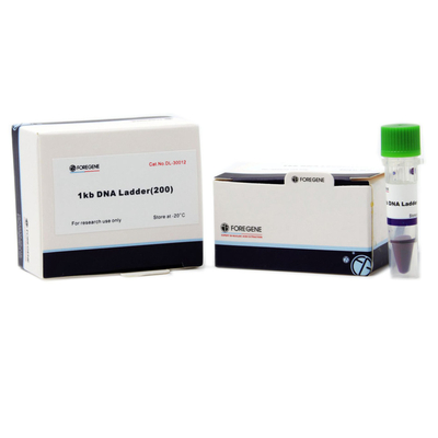 100bp-5000bp DNA 마커를 싸는 포레게네 DNA 마커 5000 400 테스트 500x4 μL