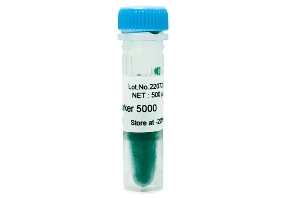 연구 분자 생물학 테스트를 위한 DNA 마커 아가로스 겔 PCR 장비 DNA 사다리 5000 베이시스 포인트