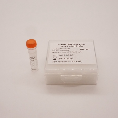 인간 CCND1/IGH 유전자 이상 검출용 CCND1/IGH Dual Fusion Probe Kit