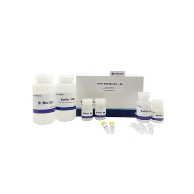 버퍼 BL1 DNA 격리 키트 버퍼 BL2 피 DNA 추출 키트