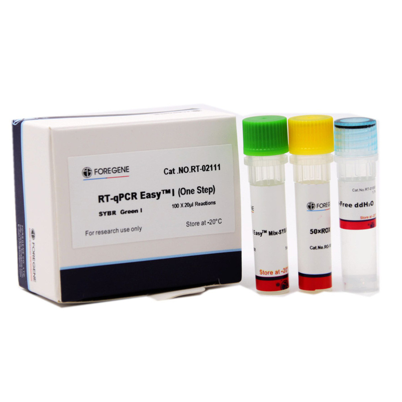 RT-QPCR 에아사이트텀  I 단일 스텝 SYBR는 녹색이 되고 내가 RT와 실시간 PCR를 위한 진들의 정량적 검출을 완료합니다