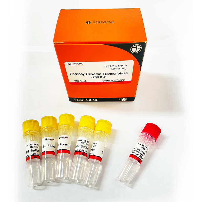 dna 폴리머라제와 cdna 합성 시발체 연장 PCR 장비를 위한 포레아사이 M-MLV 역전사 효소