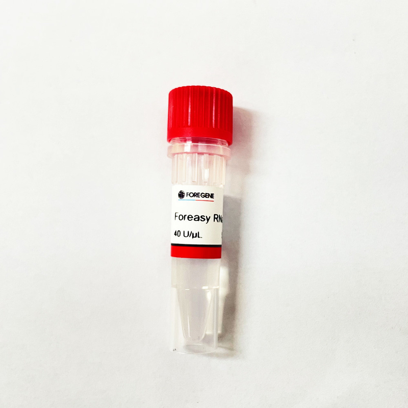 RNA 보호를 위한 중국 IVD 공장 다량 생산 포레아사이 rnase 저해제