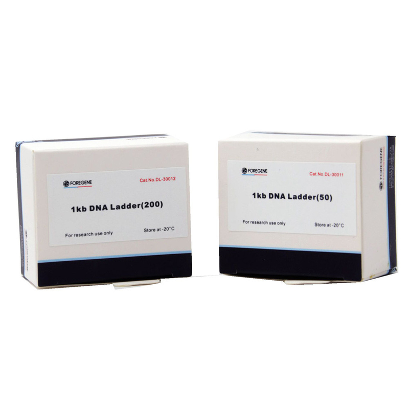 100bp-5000bp DNA 마커를 싸는 포레게네 DNA 마커 5000 400 테스트 500x4 μL
