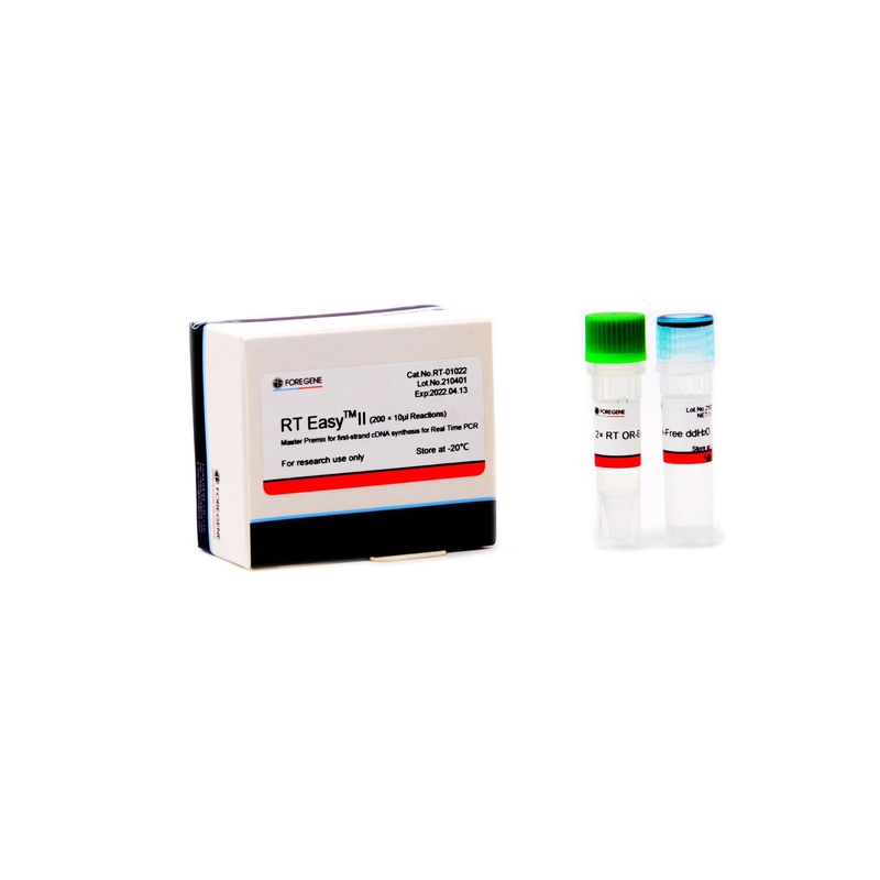 실시간 PCR 생성물 cdna 합성을 위한 역전사 시스템 RT 쉽 II 마스터 프리믹스